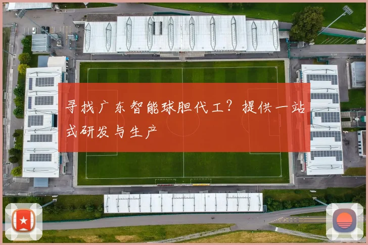 寻找广东智能球胆代工?提供一站式研发与生产